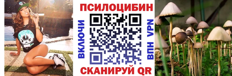Псилоцибиновые грибы мицелий  ссылка на мегу ONION  Строитель 